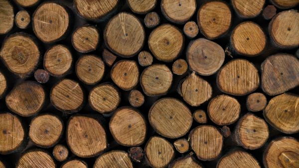 Houten heipaal