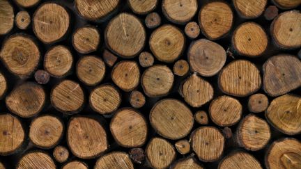 Houten heipaal